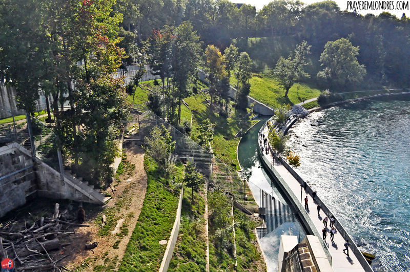 Berna: 10 motivos para conhecer a capital da Suíça – Pra Ver no Mundo