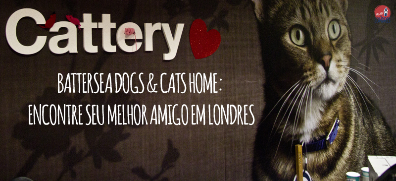 Battersea Dogs & Cats Home: encontre seu melhor amigo em Londres